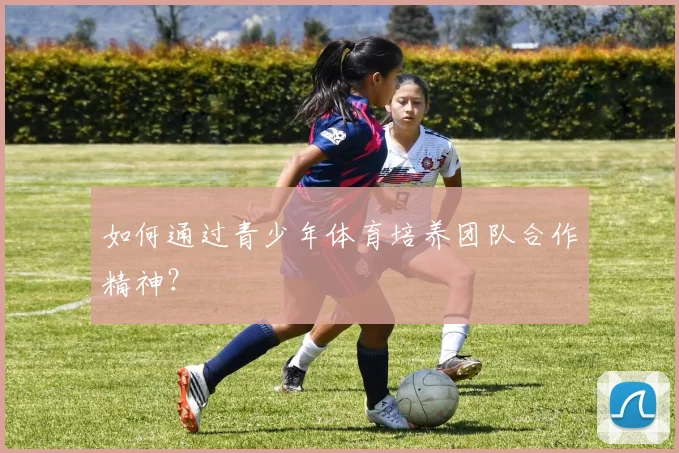 如何通过青少年体育培养团队合作精神?