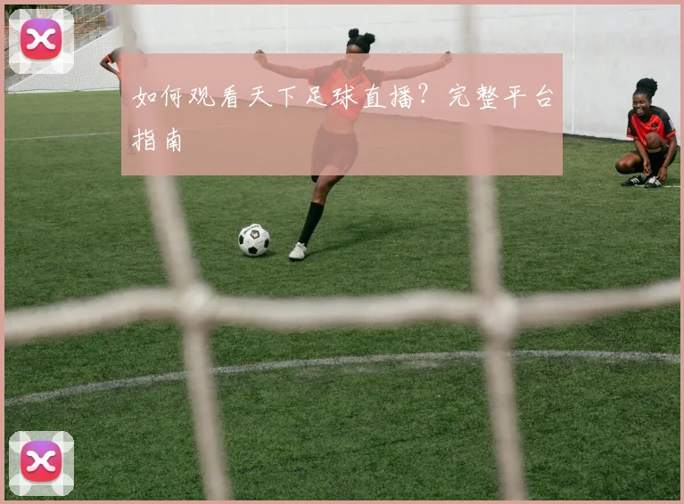 如何观看天下足球直播？完整平台指南