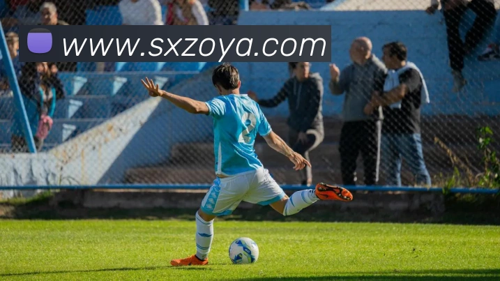 体育数据展示